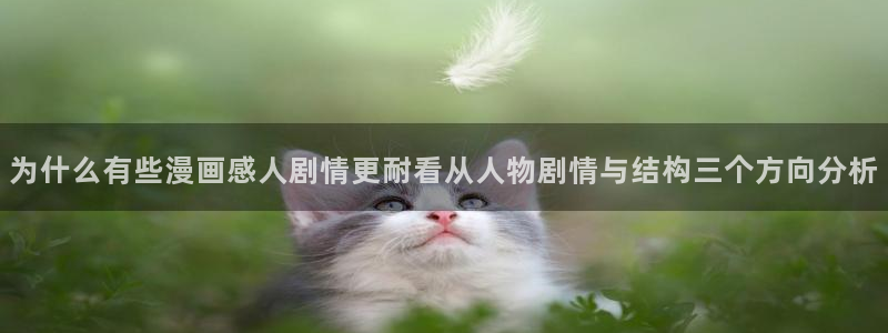 七七漫画作品推荐:为什么有些漫画感人剧情更耐看从人物剧情与结构三个方向分析